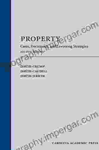 Property: Cases Documents And Lawyering Strategies Fourth Edition