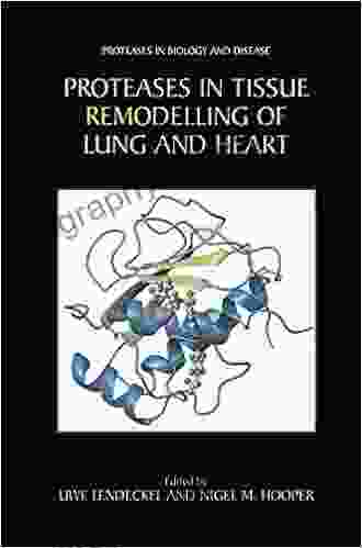 Proteases In Tissue Remodelling Of Lung And Heart (Proteases In Biology And Disease 1)