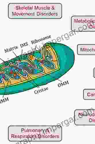 Receptor Tyrosine Kinases: Structure Functions And Role In Human Disease