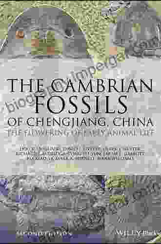 The Cambrian Fossils Of Chengjiang China: The Flowering Of Early Animal Life