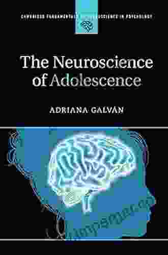 The Neuroscience of Adolescence (Cambridge Fundamentals of Neuroscience in Psychology)