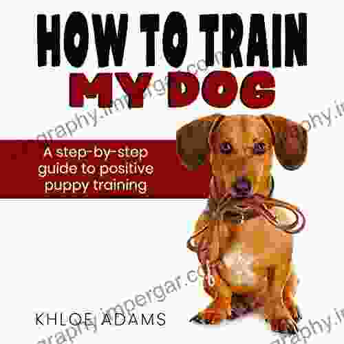 How To Train My Dog: Step By Step Guide To Positive Puppy Training