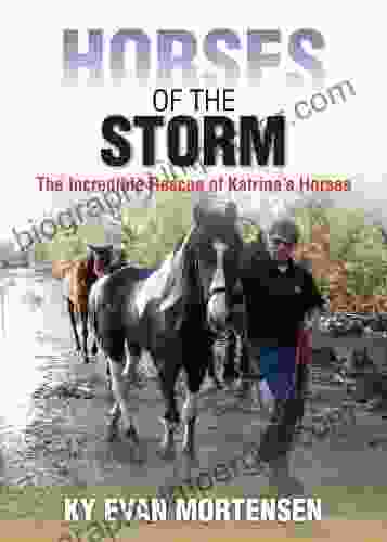 Horses Of The Storm Ky Evan Mortensen