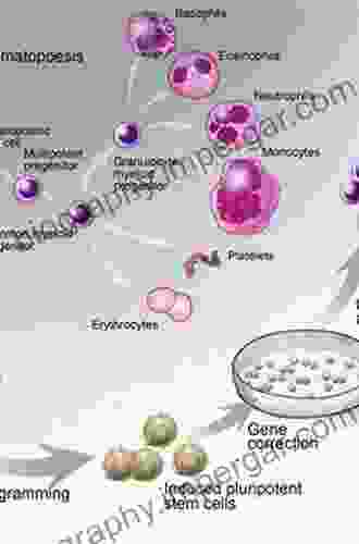 Adult Stem Cells (Stem Cell Biology And Regenerative Medicine)