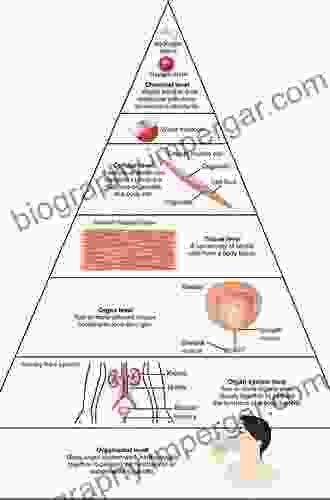 Selenium: Its Molecular Biology And Role In Human Health