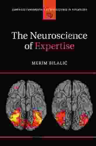 The Neuroscience Of Expertise (Cambridge Fundamentals Of Neuroscience In Psychology)