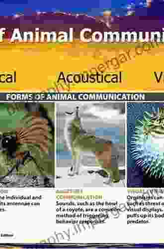 Studying Vibrational Communication (Animal Signals And Communication 3)