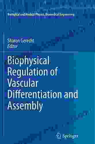 Biophysical Regulation Of Vascular Differentiation And Assembly (Biological And Medical Physics Biomedical Engineering)