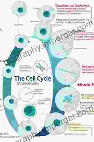 Cell Cycle in Development (Results and Problems in Cell Differentiation 53)