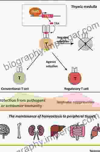 Thymic Development And Selection Of T Lymphocytes (Current Topics In Microbiology And Immunology 373)